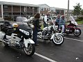 Clark's 4-20-08 004